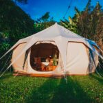 Camping Tent on Grass Lawn